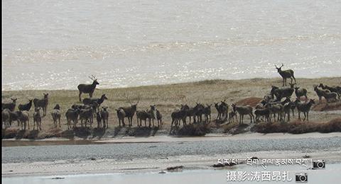 景洪天气评测3